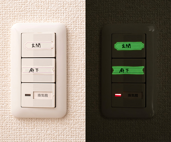 YMG-19_switch